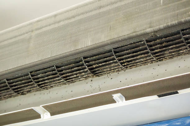 Best Affordable Duct Cleaning Services  in Wauchula, FL